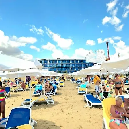 Summer Vibe Gallery