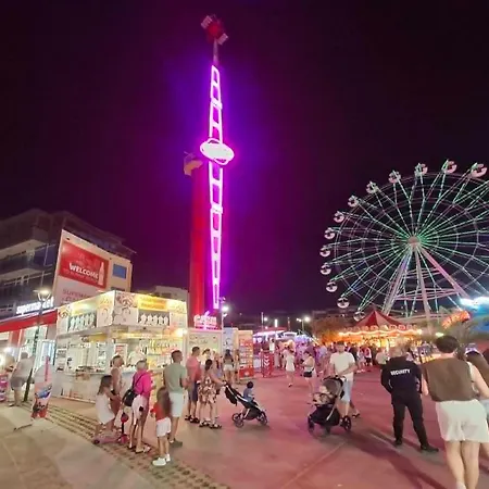 Summer Vibe Gallery